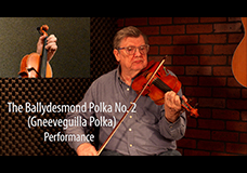 The Ballydesmond Polka No. 2