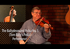 The Ballydesmond Polka No. 3