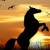 Profile picture of amyshick